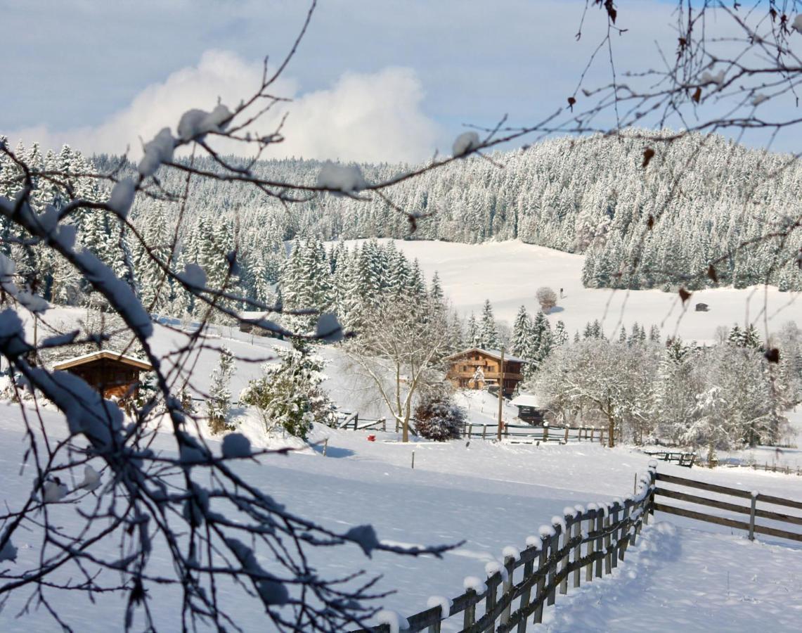 Pension Heidelberg - Fam Fuchs Гопфгартен-ім-Бріксенталь Екстер'єр фото